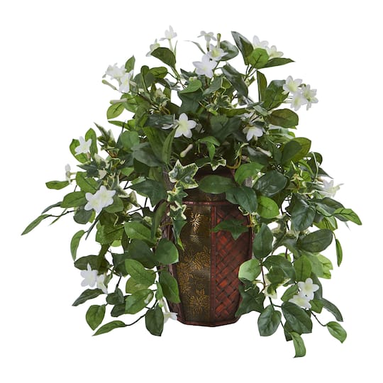 17" Stephanotis & Ivy Plant in Decorative Planter